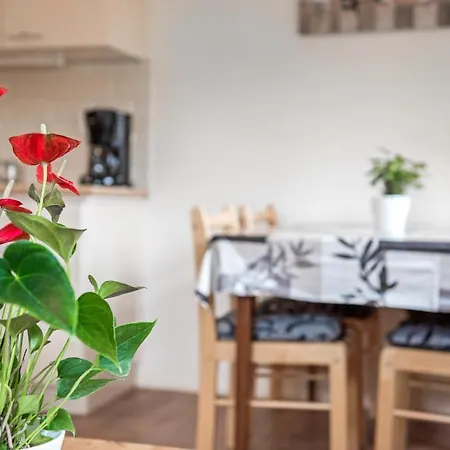 Vakantiewoning Дом отдыха *