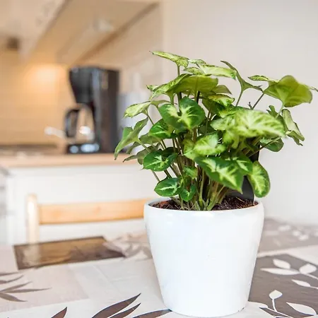 Semesterbostad Vakantiewoning Groet